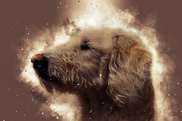 Captivating Animal Portraits: Elevate Your Design Projects