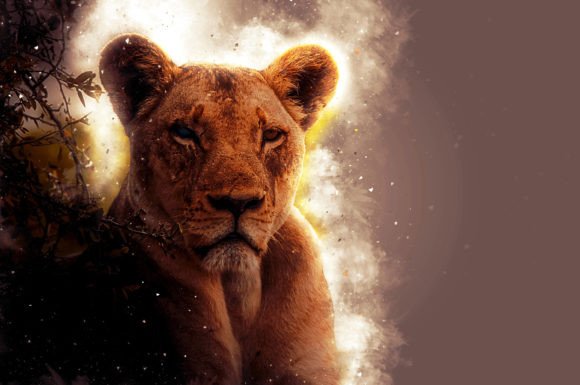 Printable Animal Portraits Pack 17: Instant Art for Any Space